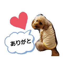 [LINEスタンプ] コムコムスタンプ