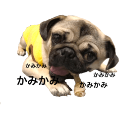 [LINEスタンプ] ちまきんぐ②