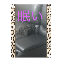 [LINEスタンプ] 愉快なvelroko