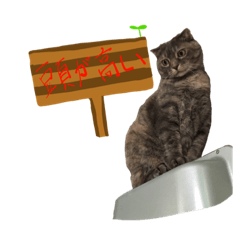 [LINEスタンプ] ゴン太とイクラ5