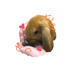 [LINEスタンプ] ロップくん