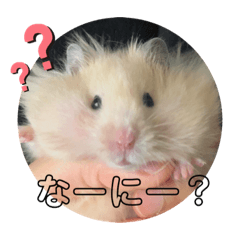 [LINEスタンプ] おやき1