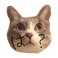 [LINEスタンプ] ぐりとくっく