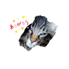 [LINEスタンプ] コンソメstamp3