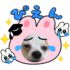 [LINEスタンプ] ステファン1234