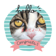 [LINEスタンプ] まるchan
