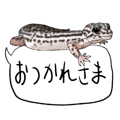 [LINEスタンプ] レオパのジャック