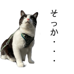 [LINEスタンプ] ふくちゃんからひとこと②