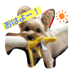 [LINEスタンプ] 琥珀のlovelyスタンプ