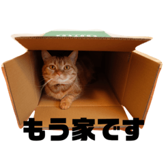 [LINEスタンプ] エマ助