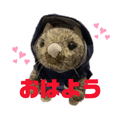 [LINEスタンプ] ウォンくんスタンプ