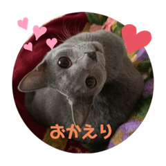 [LINEスタンプ] 可愛いシュール君