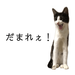 [LINEスタンプ] ふくちゃんからひとこと