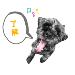 [LINEスタンプ] Reeちゃん