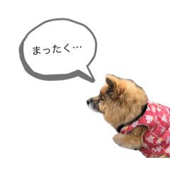 [LINEスタンプ] 雑種犬モモがぼやくスタンプ