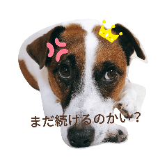 [LINEスタンプ] ansuke
