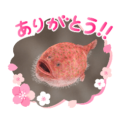 [LINEスタンプ] ぎょぎょぎょぎょぎょ