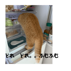 [LINEスタンプ] おダンゴにゃ
