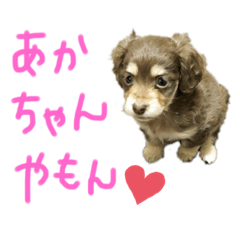 [LINEスタンプ] むぎちゃん❤️らぶ