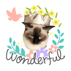 [LINEスタンプ] ニャンびより。