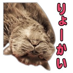 [LINEスタンプ] たわし パート1