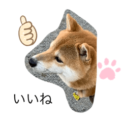 [LINEスタンプ] 豆吉 スタンプ 2
