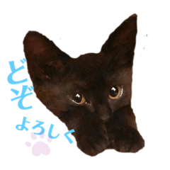 [LINEスタンプ] ツキヒの日常