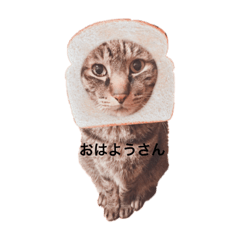 [LINEスタンプ] ぬっこです