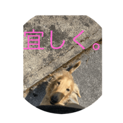 [LINEスタンプ] ROK Iスタンプ