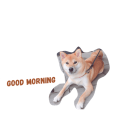 [LINEスタンプ] さかき家のコロちゃん