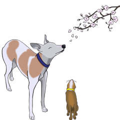 [LINEスタンプ] ベスとテトシと、時々、ソウシ