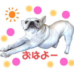 [LINEスタンプ] ぶる左衛門☆