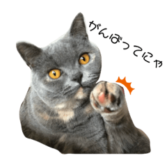 [LINEスタンプ] 我が家のぶりてぃしゅ