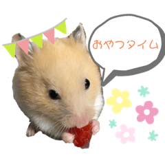 [LINEスタンプ] ハムスターのぷん