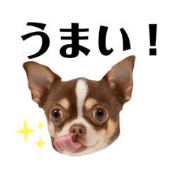 [LINEスタンプ] オレ、たび