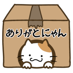 [LINEスタンプ] コロねこの毎日スタンプ☆1