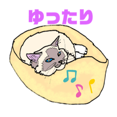 [LINEスタンプ] ラグドール真央っこ