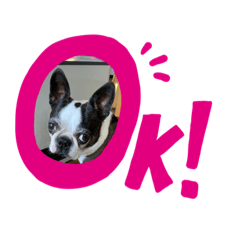 [LINEスタンプ] ニコライフ