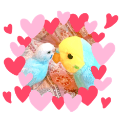 [LINEスタンプ] 愉快なインコたち