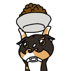 [LINEスタンプ] 三毛猫ゔぃちゃんの日常