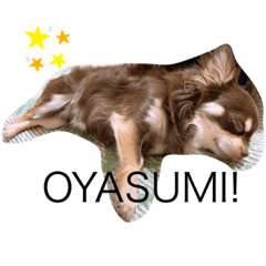[LINEスタンプ] めめさんと赤ちゃん