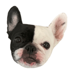 [LINEスタンプ] mmt stp
