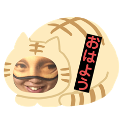 [LINEスタンプ] たかをスタンプ