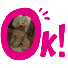 [LINEスタンプ] ぼくぽんちゃんすたんぷ