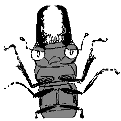 [LINEスタンプ] ヒラタクワガタ