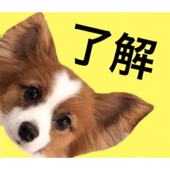 [LINEスタンプ] えどくん
