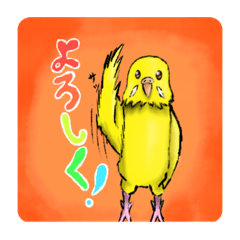 [LINEスタンプ] 黄色いインコのスタンプ