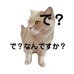 [LINEスタンプ] タラ蔵日記1