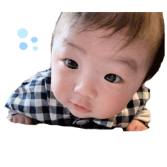 [LINEスタンプ] みどりかわひなた