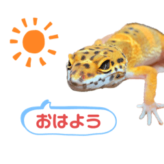 [LINEスタンプ] レ オ パ